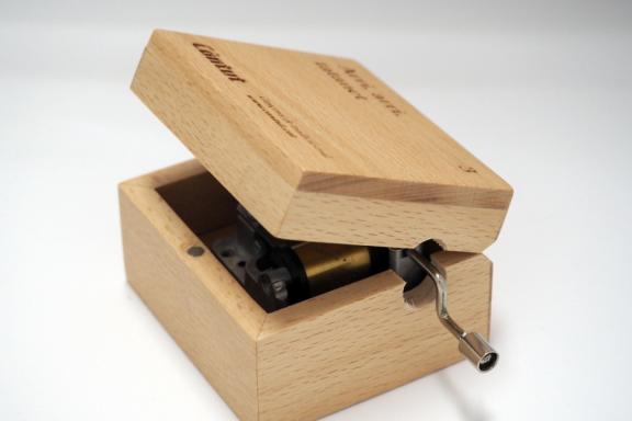 Comencen les votacions per la quarta capseta de música del Càntut