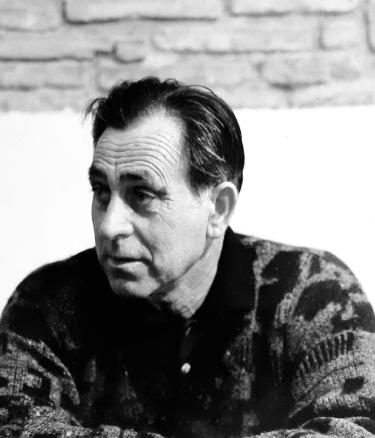 Lo rossinyol no pot cantar