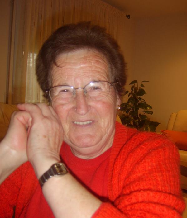 Goits de Sant Llemín